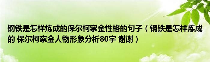 钢铁是怎样炼成的保尔柯察金性格的句子（钢铁是怎样炼成的 保尔柯察金人物形象分析80字 谢谢）