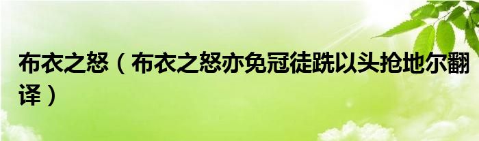 布衣之怒（布衣之怒亦免冠徒跣以头抢地尔翻译）