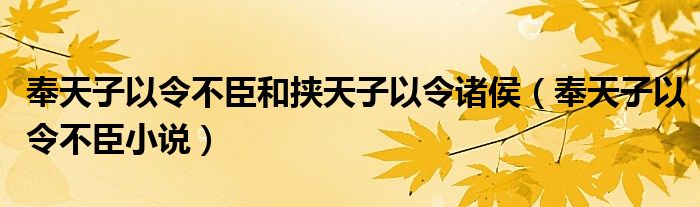 奉天子以令不臣和挟天子以令诸侯（奉天子以令不臣小说）