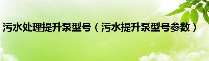 污水处理提升泵型号（污水提升泵型号参数）