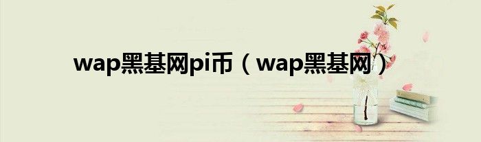 wap黑基网pi币（wap黑基网）