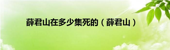 薛君山在多少集死的（薛君山）