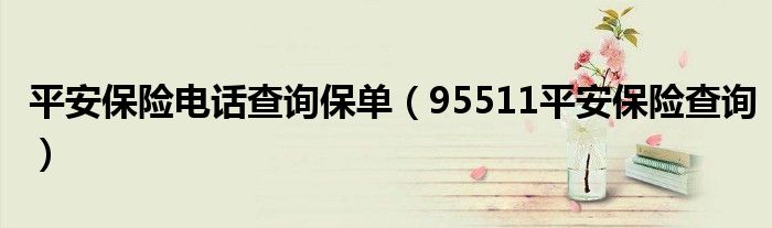 平安保险电话查询保单（95511平安保险查询）