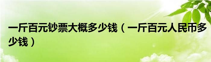 一斤百元钞票大概多少钱（一斤百元人民币多少钱）