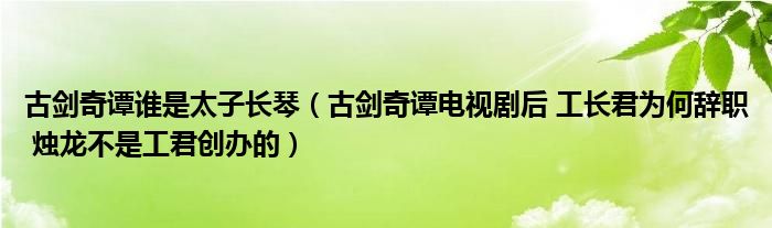 古剑奇谭谁是太子长琴（古剑奇谭电视剧后 工长君为何辞职 烛龙不是工君创办的）