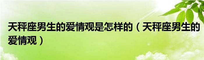 天秤座男生的爱情观是怎样的（天秤座男生的爱情观）