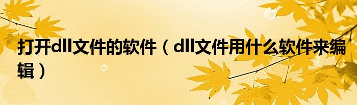 打开dll文件的软件（dll文件用什么软件来编辑）