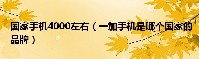 国家手机4000左右（一加手机是哪个国家的品牌）