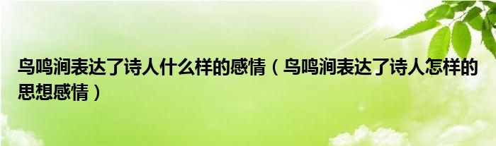 鸟鸣涧表达了诗人什么样的感情（鸟鸣涧表达了诗人怎样的思想感情）