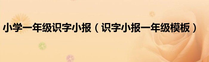 小学一年级识字小报（识字小报一年级模板）