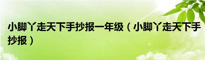 小脚丫走天下手抄报一年级（小脚丫走天下手抄报）