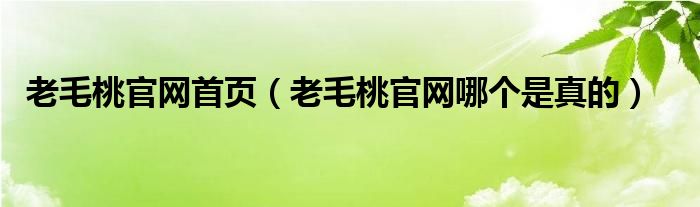 老毛桃官网首页（老毛桃官网哪个是真的）