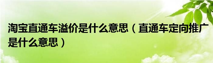 淘宝直通车溢价是什么意思（直通车定向推广是什么意思）