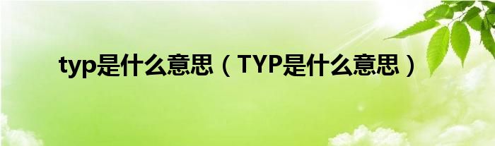 typ是什么意思（TYP是什么意思）