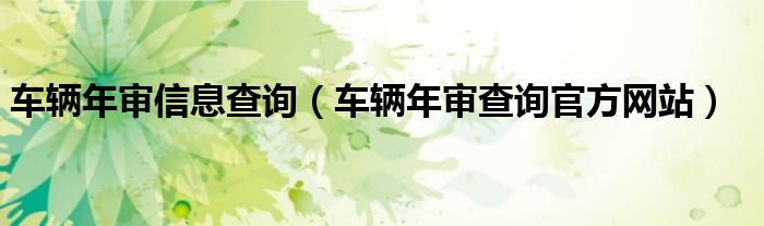 车辆年审信息查询（车辆年审查询官方网站）