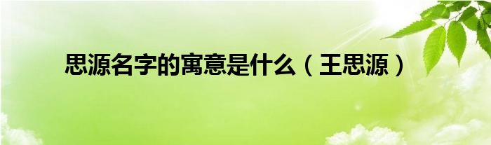 思源名字的寓意是什么（王思源）