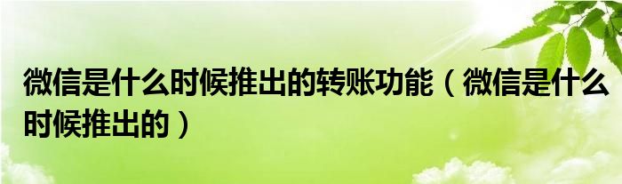 微信是什么时候推出的转账功能（微信是什么时候推出的）