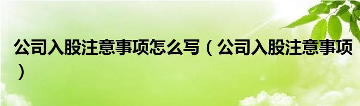 公司入股注意事项怎么写（公司入股注意事项）