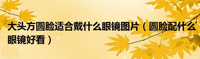 大头方圆脸适合戴什么眼镜图片（圆脸配什么眼镜好看）