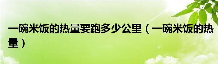 一碗米饭的热量要跑多少公里（一碗米饭的热量）