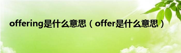 offering是什么意思（offer是什么意思）