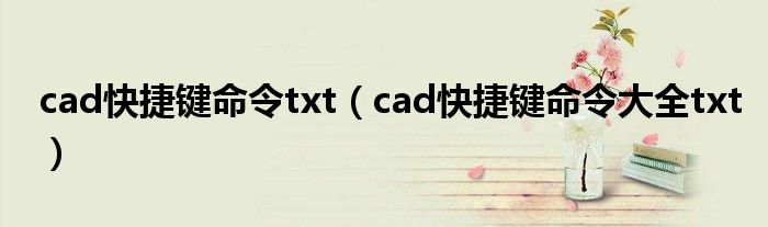 cad快捷键命令txt（cad快捷键命令大全txt）