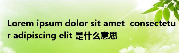 Lorem ipsum dolor sit amet  consectetur adipiscing elit 是什么意思