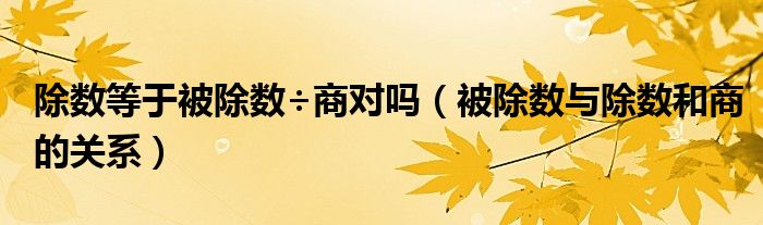 除数等于被除数÷商对吗（被除数与除数和商的关系）