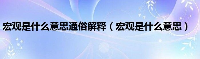 宏观是什么意思通俗解释（宏观是什么意思）