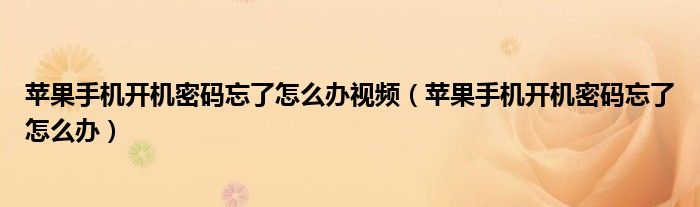 苹果手机开机密码忘了怎么办视频（苹果手机开机密码忘了怎么办）