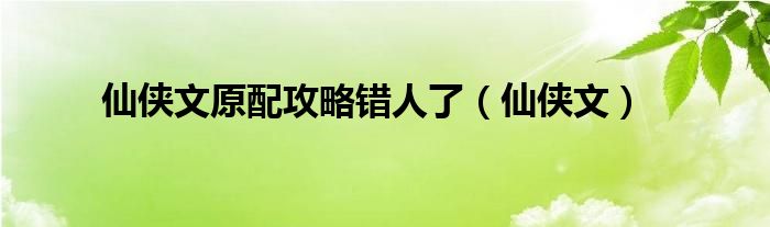 仙侠文原配攻略错人了（仙侠文）