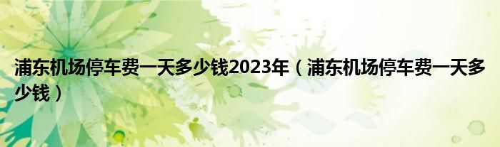 浦东机场停车费一天多少钱2023年（浦东机场停车费一天多少钱）