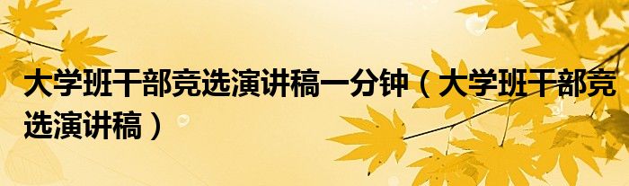 大学班干部竞选演讲稿一分钟（大学班干部竞选演讲稿）