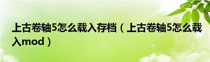 上古卷轴5怎么载入存档（上古卷轴5怎么载入mod）