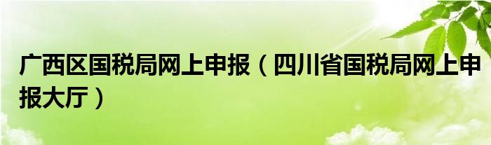 广西区国税局网上申报（四川省国税局网上申报大厅）