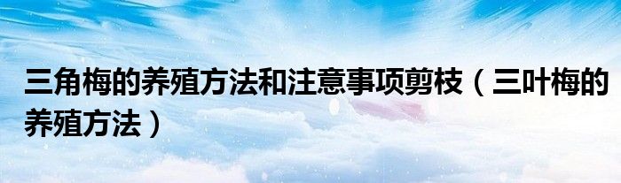 三角梅的养殖方法和注意事项剪枝（三叶梅的养殖方法）