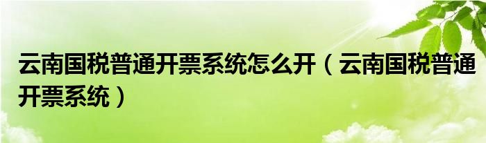 云南国税普通开票系统怎么开（云南国税普通开票系统）