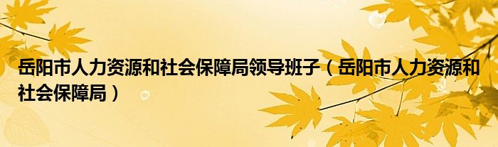 岳阳市人力资源和社会保障局领导班子（岳阳市人力资源和社会保障局）