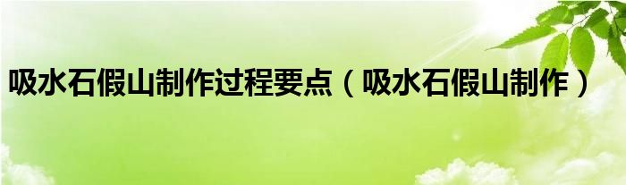 吸水石假山制作过程要点（吸水石假山制作）