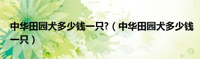 中华田园犬多少钱一只?（中华田园犬多少钱一只）