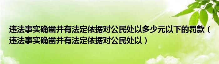 违法事实确凿并有法定依据对公民处以多少元以下的罚款（违法事实确凿并有法定依据对公民处以）