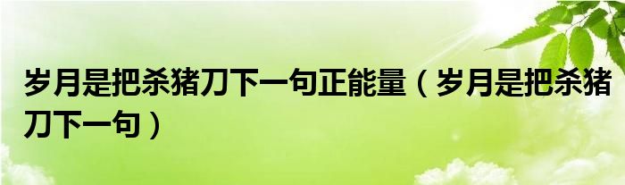 岁月是把杀猪刀下一句正能量（岁月是把杀猪刀下一句）