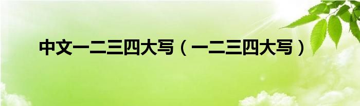 中文一二三四大写（一二三四大写）