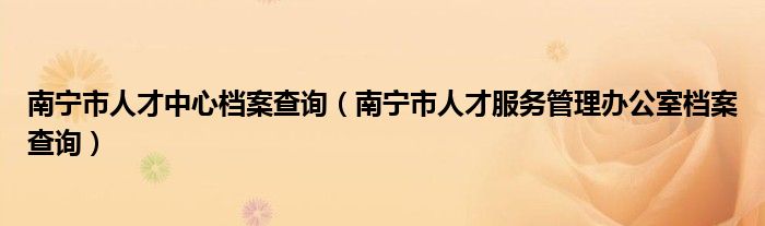 南宁市人才中心档案查询（南宁市人才服务管理办公室档案查询）