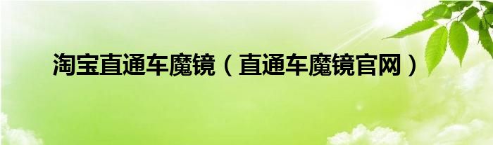 淘宝直通车魔镜（直通车魔镜官网）