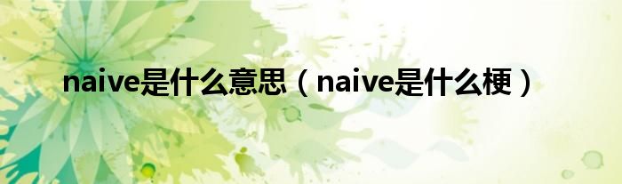 naive是什么意思（naive是什么梗）