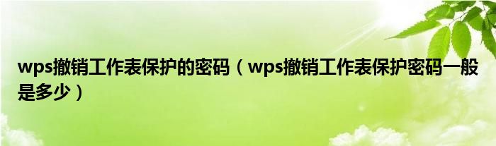 wps撤销工作表保护的密码（wps撤销工作表保护密码一般是多少）