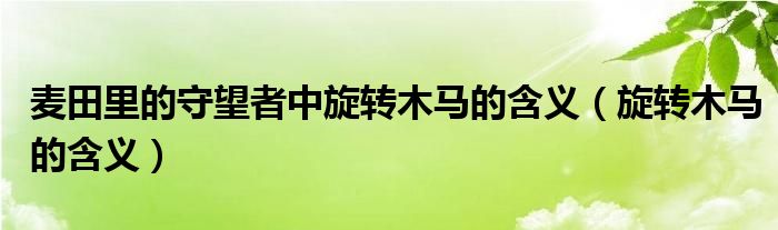 麦田里的守望者中旋转木马的含义（旋转木马的含义）