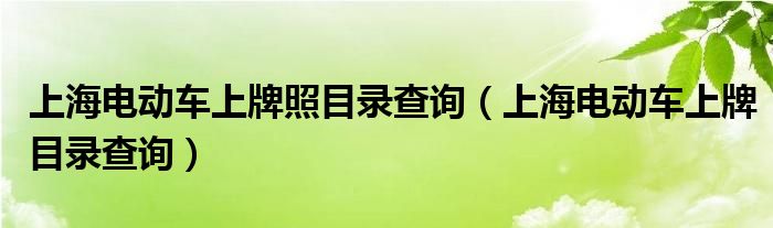 上海电动车上牌照目录查询（上海电动车上牌目录查询）