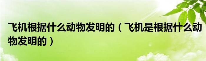 飞机根据什么动物发明的（飞机是根据什么动物发明的）